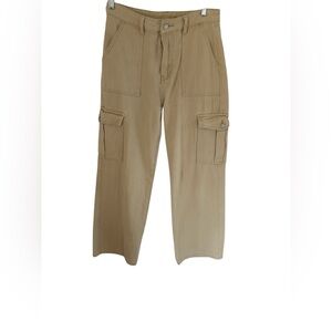 Cider Barrel/Wide Leg Cargo Jeans